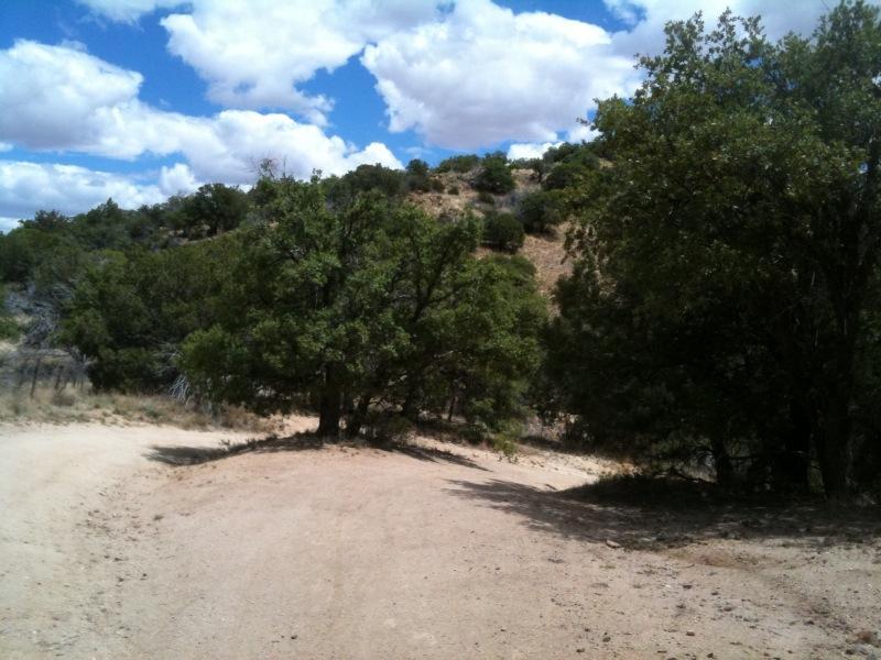 A dirt path winding through a landscape with green trees on either side, leading toward a hillside under a partly cloudy blue sky. Brown Canyon mountain bike trail.