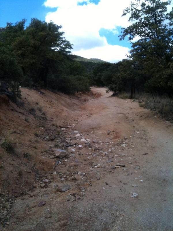 A dirt path winding through a wooded area with rocky terrain, surrounded by trees and under a partly cloudy sky. Brown Canyon mountain bike trail.