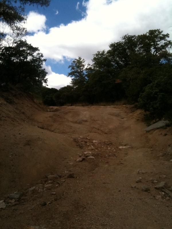 A narrow dirt path surrounded by trees, with rocky and uneven terrain under a partly cloudy sky. Brown Canyon mountain bike trail.