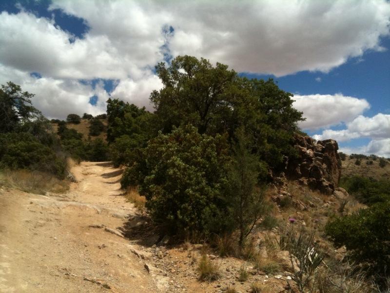 A winding dirt path leads through a landscape filled with greenery, including bushes and trees, under a partly cloudy blue sky. Rocky terrain is visible on one side of the path, suggesting a natural outdoor setting, possibly in a hilly or mountainous area. Brown Canyon mountain bike trail.