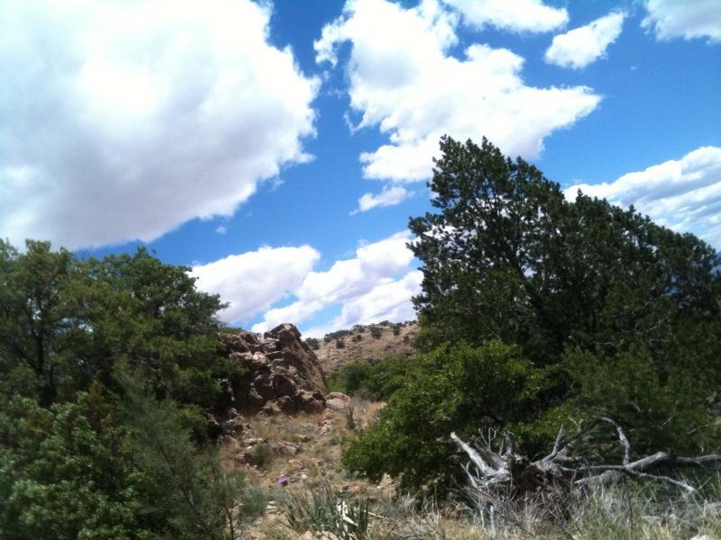 A scenic landscape featuring rocky terrain and lush greenery under a bright blue sky adorned with fluffy white clouds. Brown Canyon mountain bike trail.