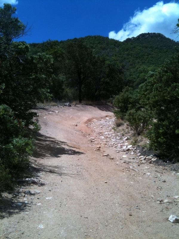 A dirt path winding through a natural landscape, flanked by vegetation and rocky terrain, leading toward a distant mountain under a bright blue sky with a few clouds. Brown Canyon mountain bike trail.