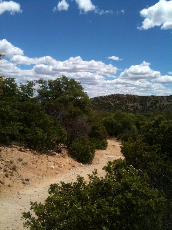 A winding dirt path through a green landscape, surrounded by shrubs and trees, under a blue sky filled with fluffy white clouds and distant hills in the background. Brown Canyon mountain bike trail.