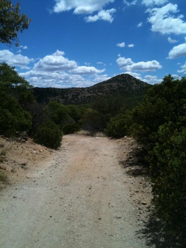 Dirt path leading through greenery toward a mountainous landscape under a bright blue sky with scattered clouds. Brown Canyon mountain bike trail.