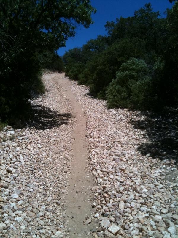 A rocky trail leading uphill, flanked by green shrubs and trees under a clear blue sky. The path appears narrow and is primarily composed of loose stones and dirt. Brown Canyon mountain bike trail.