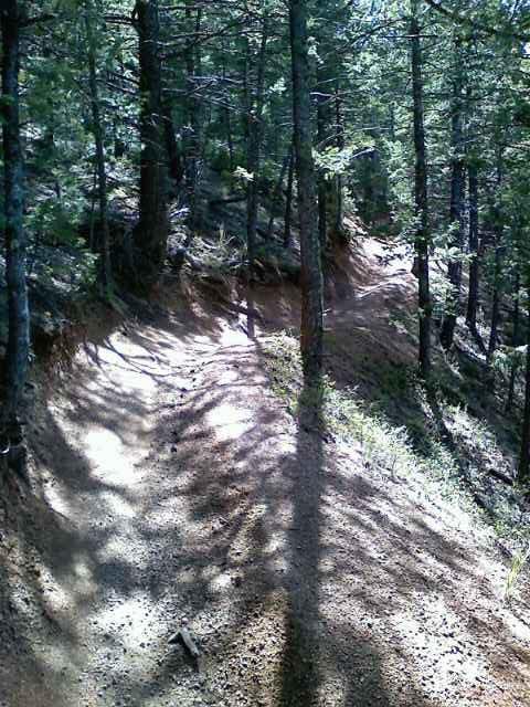 A winding dirt path through a forested area, flanked by tall trees casting shadows on the ground. The sunlight filters through the leaves, creating a dappled light effect. The trail is narrow and slightly elevated, suggesting a natural, rugged landscape. Captain Jack's mountain bike trail.