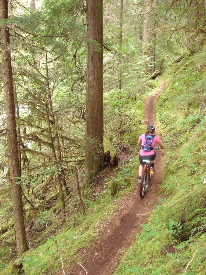 A cyclist riding along a winding dirt trail through a lush green forest, surrounded by tall trees and dense vegetation. The path is narrow and covered with moss, indicating a natural and serene environment. Mckenzie River Trail mountain bike trail.