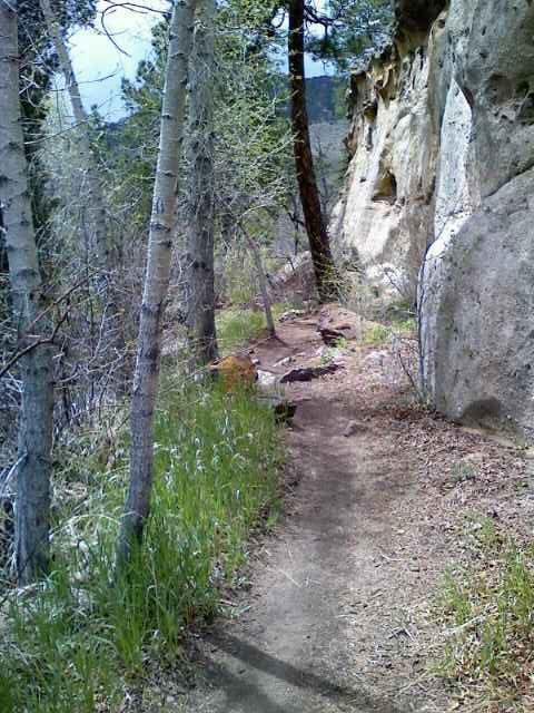 A narrow dirt trail winding through a forest, flanked by slender trees and rocky outcrops, with lush green grass and foliage surrounding the path. The sky is partly cloudy, suggesting a serene outdoor setting. Falcon Trail mountain bike trail.