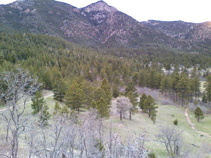 A panoramic view of a mountainous landscape featuring dense evergreen forests, with rolling hills and a clear path winding through the scenery. The backdrop displays rugged mountain peaks under a soft, cloudy sky. Falcon Trail mountain bike trail.