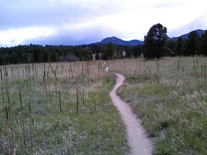 Winding dirt path through a grassy field, with low vegetation and scattered trees, leading towards distant mountains beneath a partly cloudy sky. Falcon Trail mountain bike trail.