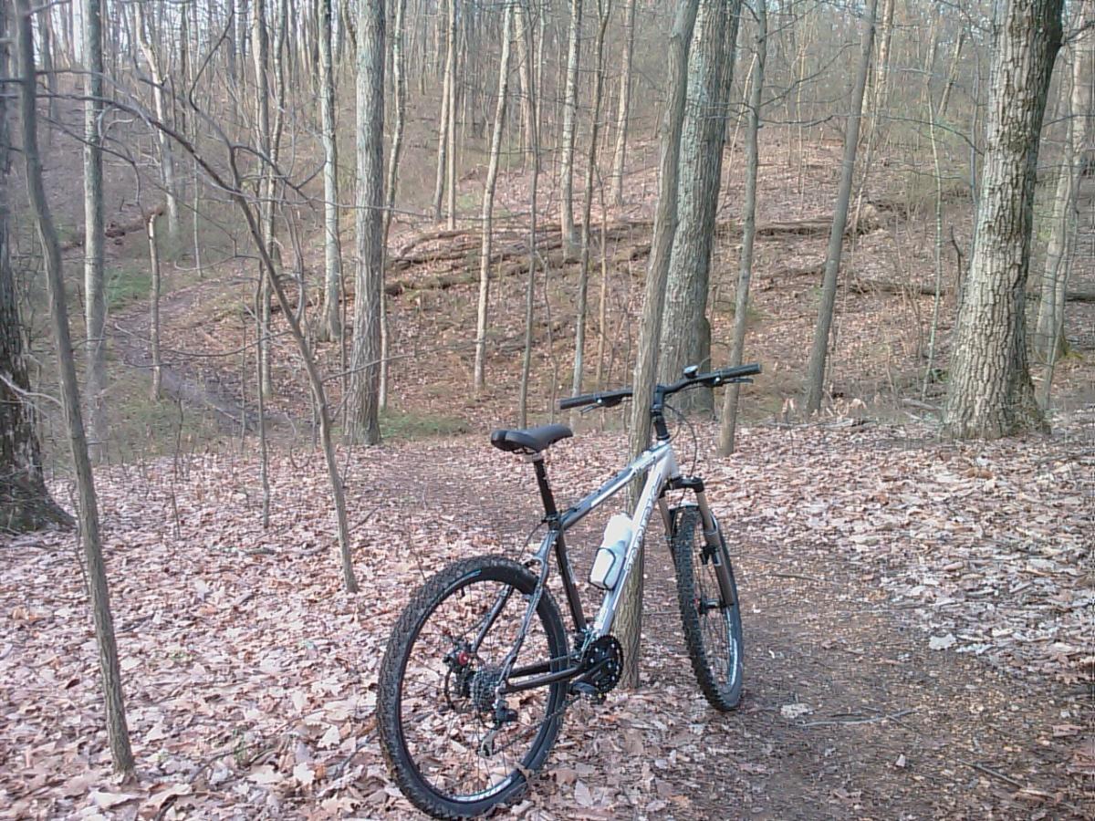 Mountain bike parked on a dirt trail surrounded by trees in a wooded area, with dry leaves scattered on the ground. 3rd Battle Of Winchester Trail mountain bike trail.