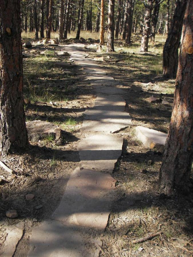 A winding stone pathway through a forested area, lined with tall pine trees and patches of grass. The pathway is made of flat stones and is surrounded by scattered rocks and natural debris, creating a serene outdoor atmosphere. Heil Valley Ranch mountain bike trail.