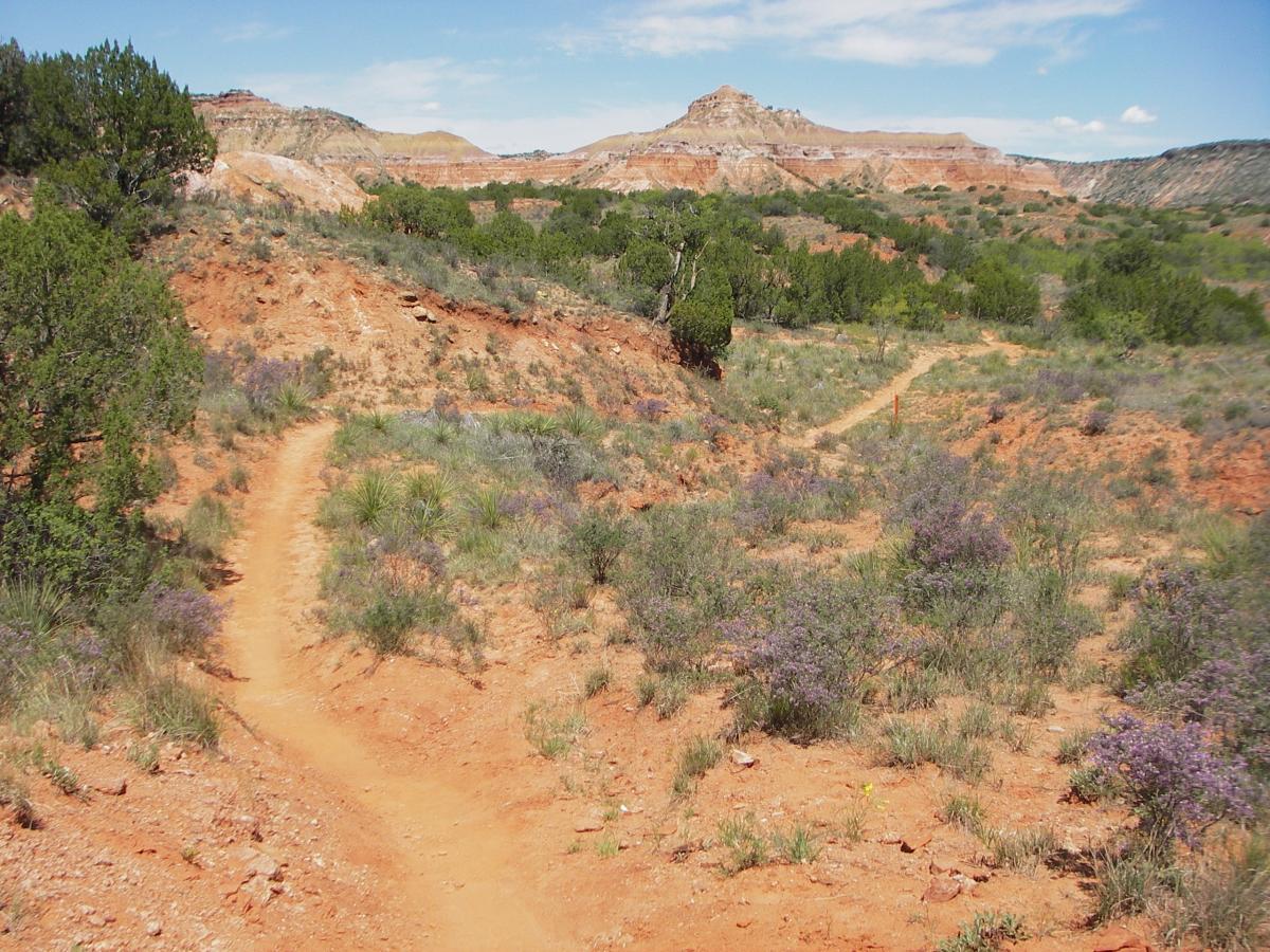 A scenic view of a dirt trail winding through a grassy landscape with patches of purple wildflowers, surrounded by reddish-brown rocky terrain and hills under a blue sky with scattered clouds. Palo Duro Canyon mountain bike trail.
