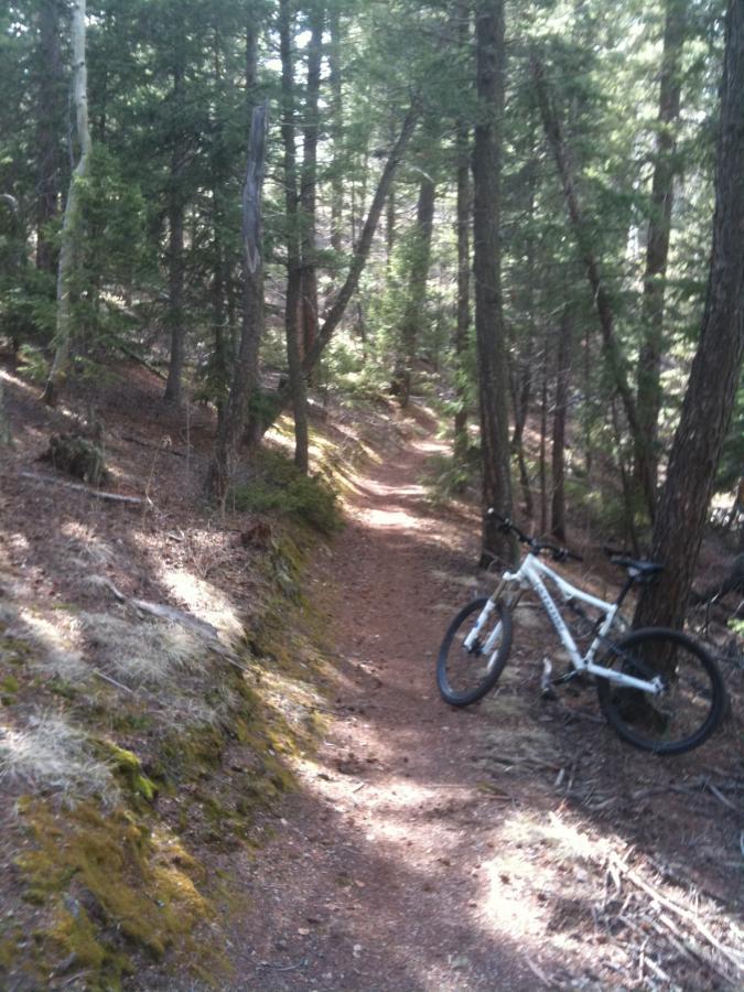 A narrow dirt path winding through a forest, lined with tall trees and underbrush. A white mountain bike is leaning against the side of the trail, with its front wheel positioned on a slight incline. The atmosphere appears tranquil and natural, suggesting an outdoor adventure destination. Rampart Reservoir mountain bike trail.