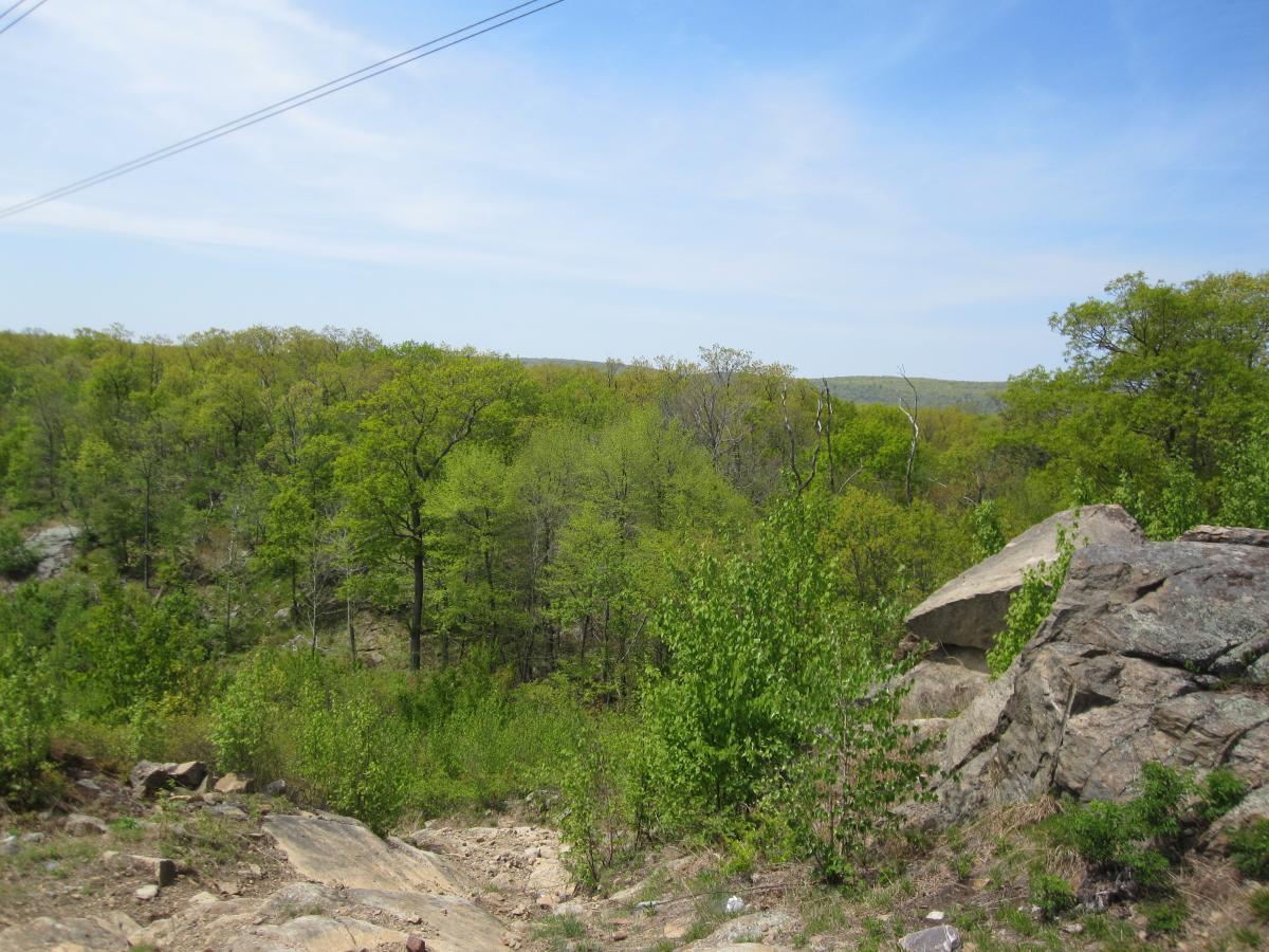 A scenic view of a lush, green forest under a clear blue sky. The landscape includes a rocky foreground with scattered boulders, leading to a dense area of trees in various shades of green. The horizon features gently rolling hills, creating a peaceful natural setting. Long Pond Ironworks State Park mountain bike trail.