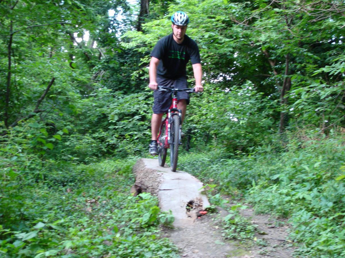 A mountain biker riding on a wooden log path in a lush green forest. The biker is wearing a helmet and is focused on navigating the trail as he balances on the log, surrounded by dense foliage and trees. Corby North mountain bike trail.