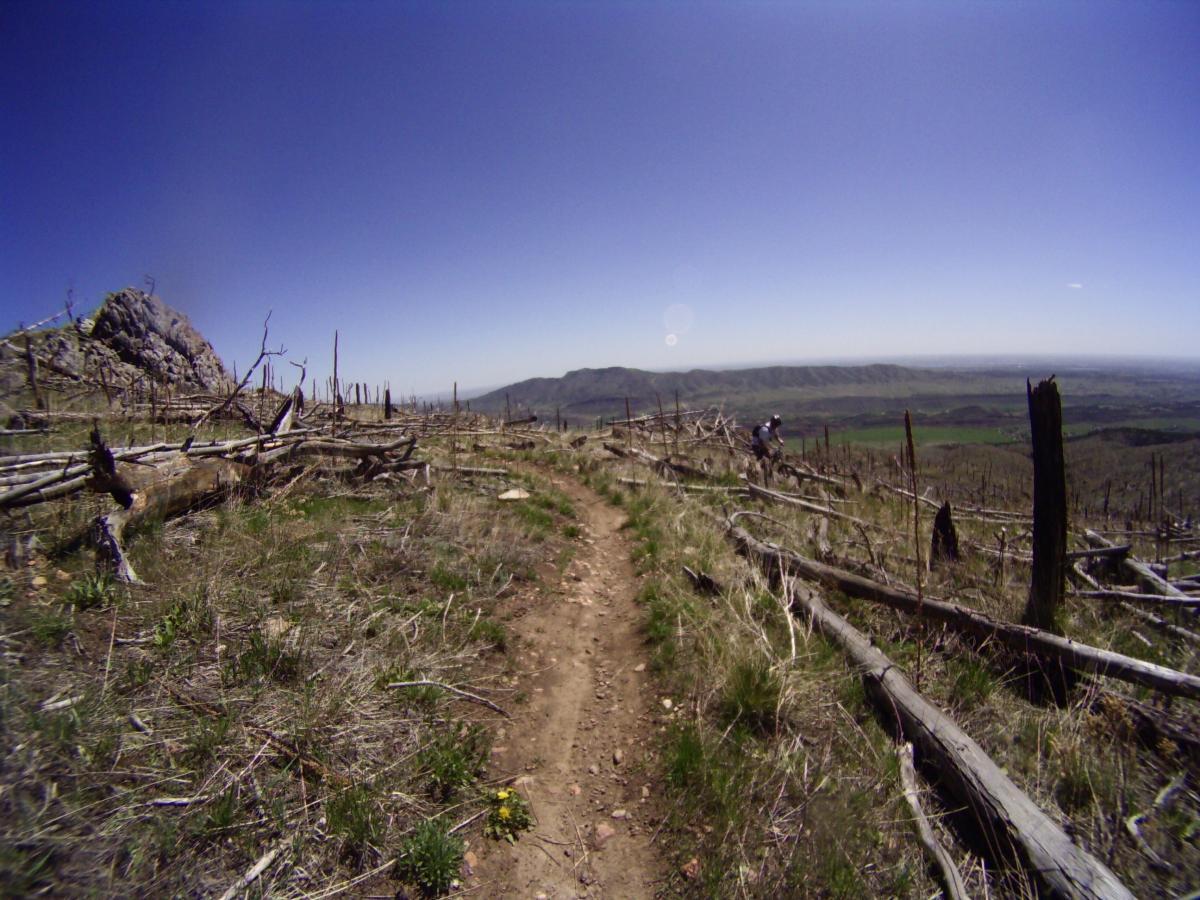 A winding dirt path through a mountainous landscape with scattered dead trees, leading towards distant hills under a clear blue sky. A small figure can be seen walking along the trail, surrounded by patches of green grass and wildflowers. Ginny Trail mountain bike trail.
