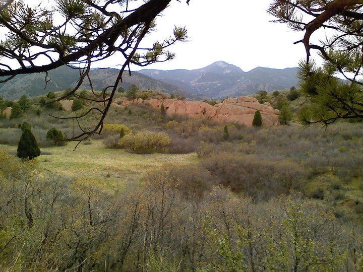 Scenic view of a natural landscape featuring rolling hills, rocky formations, and a mix of evergreen and deciduous trees under a cloudy sky. The foreground includes shrubbery and a grassy area, while the background showcases mountains. Red Rock Canyon mountain bike trail.