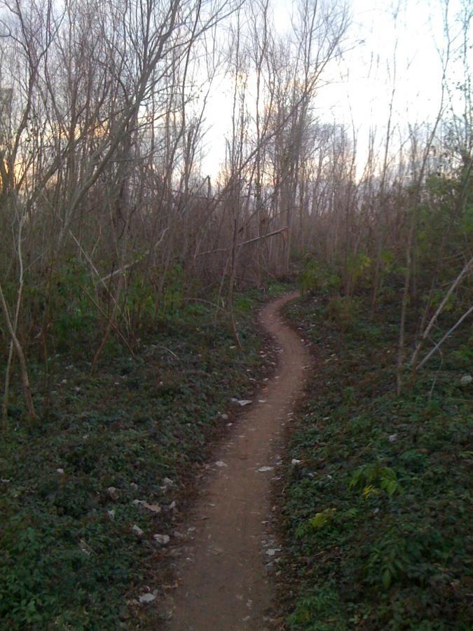 A winding dirt trail surrounded by bare trees and dense undergrowth, leading through a quiet forested area during dusk. Justin P. Brindley mountain bike trail.