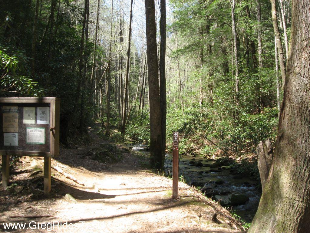 A wooded trail in a forest with a signboard on the left displaying information and trail maps. In the background, a stream runs alongside the path, surrounded by lush greenery and tall trees. The sunlight filters through the leaves, creating a serene outdoor atmosphere. Bear Creek mountain bike trail.