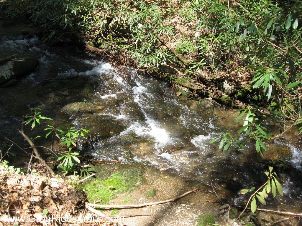 A small, gently flowing creek surrounded by lush greenery, featuring clear water cascading over smooth rocks. Sunlight filters through the trees, illuminating the moss-covered stones and creating a tranquil, natural setting. Bear Creek mountain bike trail.