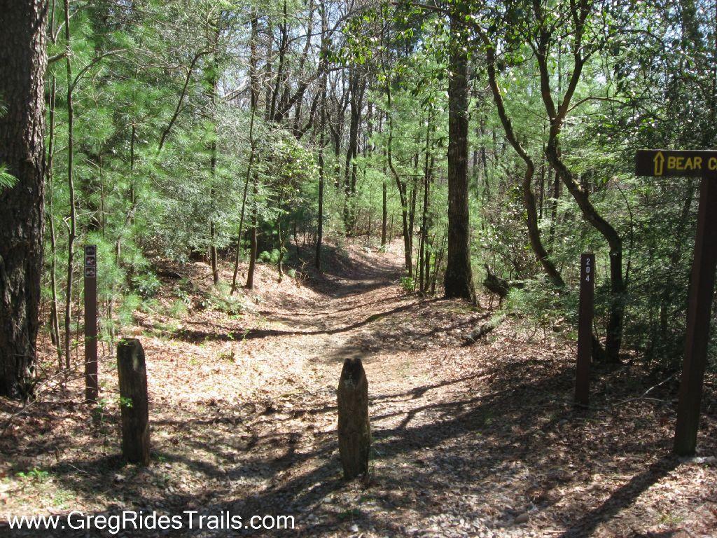 A forest trail pathway surrounded by trees and foliage, with wooden markers indicating directions. The trail splits, showcasing a sign pointing towards "Bear Creek." The ground is covered in leaves and the sunlight filters through the tree canopy, creating a serene outdoor setting. Bear Creek mountain bike trail.