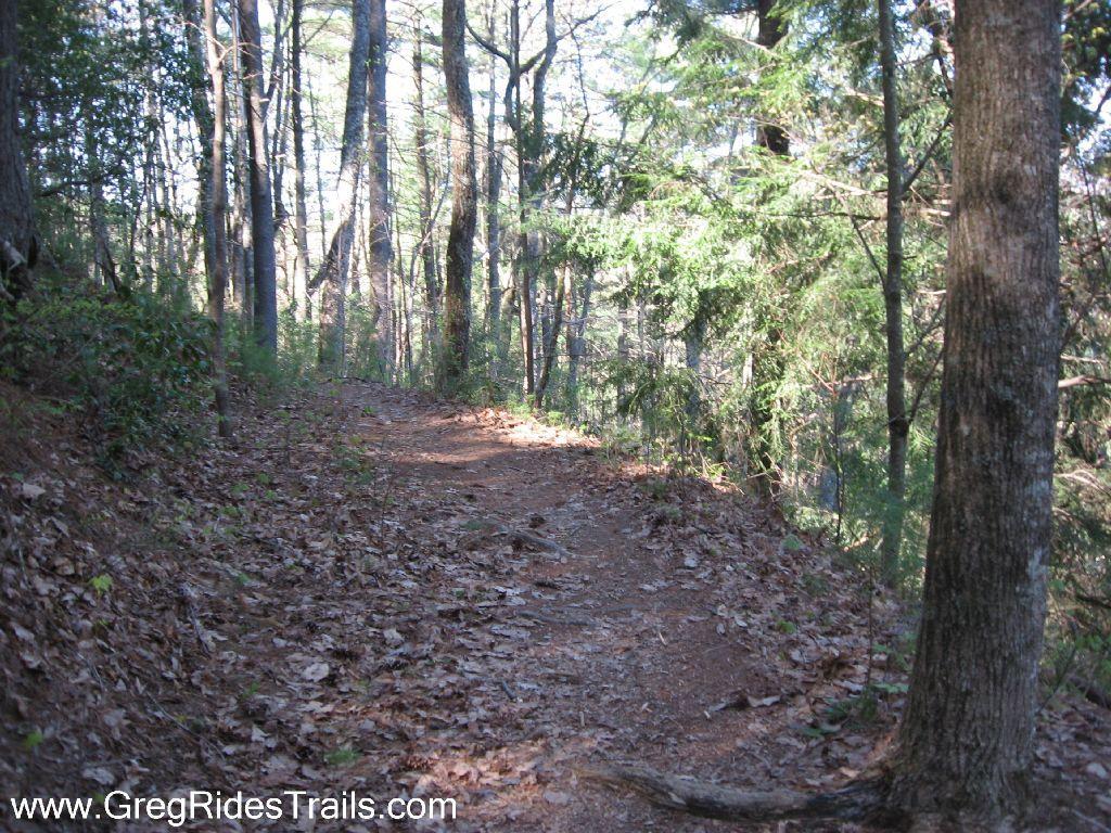 A winding dirt trail surrounded by tall trees and foliage in a wooded area. Sunlight filters through the branches, casting soft shadows on the ground covered with fallen leaves. The scene conveys a tranquil, natural setting ideal for hiking or exploring. Pinhoti Trail: P1 / Bear Creek Pinhoti mountain bike trail.