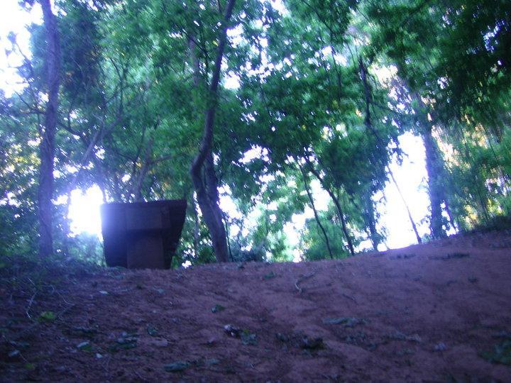 A view of a wooded area with trees and dappled sunlight filtering through the leaves, featuring a rustic, unadorned bench or small structure partially obscured by foliage, situated on a dirt path. Justin P. Brindley mountain bike trail.