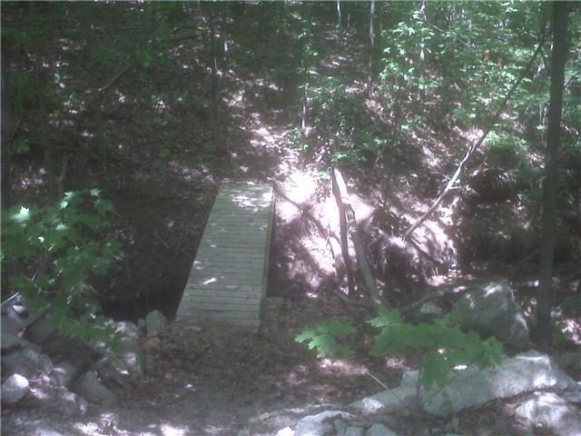 A narrow wooden bridge spans a small, shallow ravine in a wooded area. Lush green foliage surrounds the bridge, and rocky terrain is visible on either side, creating a natural, serene setting. Sunlight filters through the trees, casting dappled shadows on the ground. Van  Buren mountain bike trail.