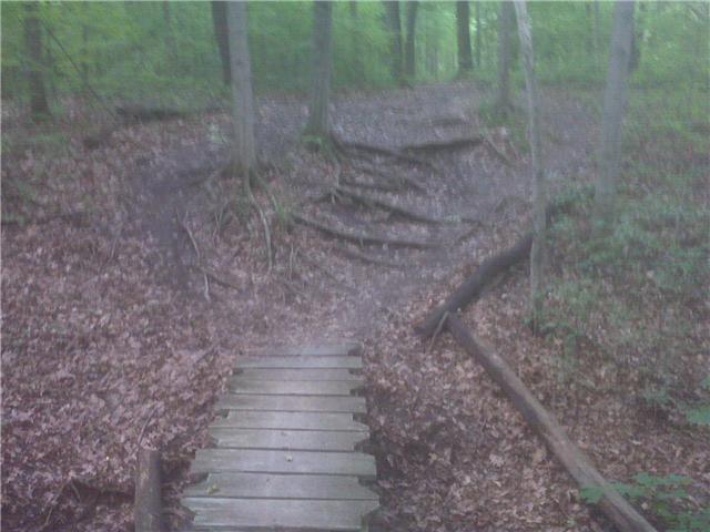 A wooded path leading to a steep incline, featuring a small wooden bridge over a muddy area. The ground is covered in fallen leaves, and tree roots are visible along the slope. Lush green foliage surrounds the scene, creating a serene natural environment. Van  Buren mountain bike trail.