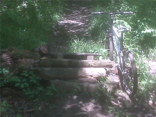 A mountain bike parked next to a wooden obstacle on a dirt trail surrounded by lush green foliage and sunlight filtering through the trees. Van  Buren mountain bike trail.