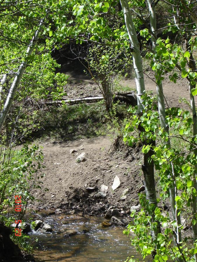 A serene outdoor scene featuring a small stream with clear water flowing over rocks, surrounded by lush green foliage and aspen trees. The landscape is sunny, highlighting the vibrant leaves and earthy ground nearby. Indian Creek Loop mountain bike trail.