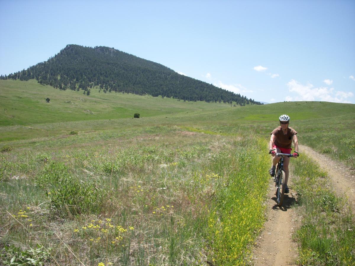 A person riding a mountain bike on a dirt trail in a grassy landscape, with a forested hill in the background under a clear blue sky. Wildflowers are scattered along the trail, adding color to the scene. Centennial Cone Park mountain bike trail.