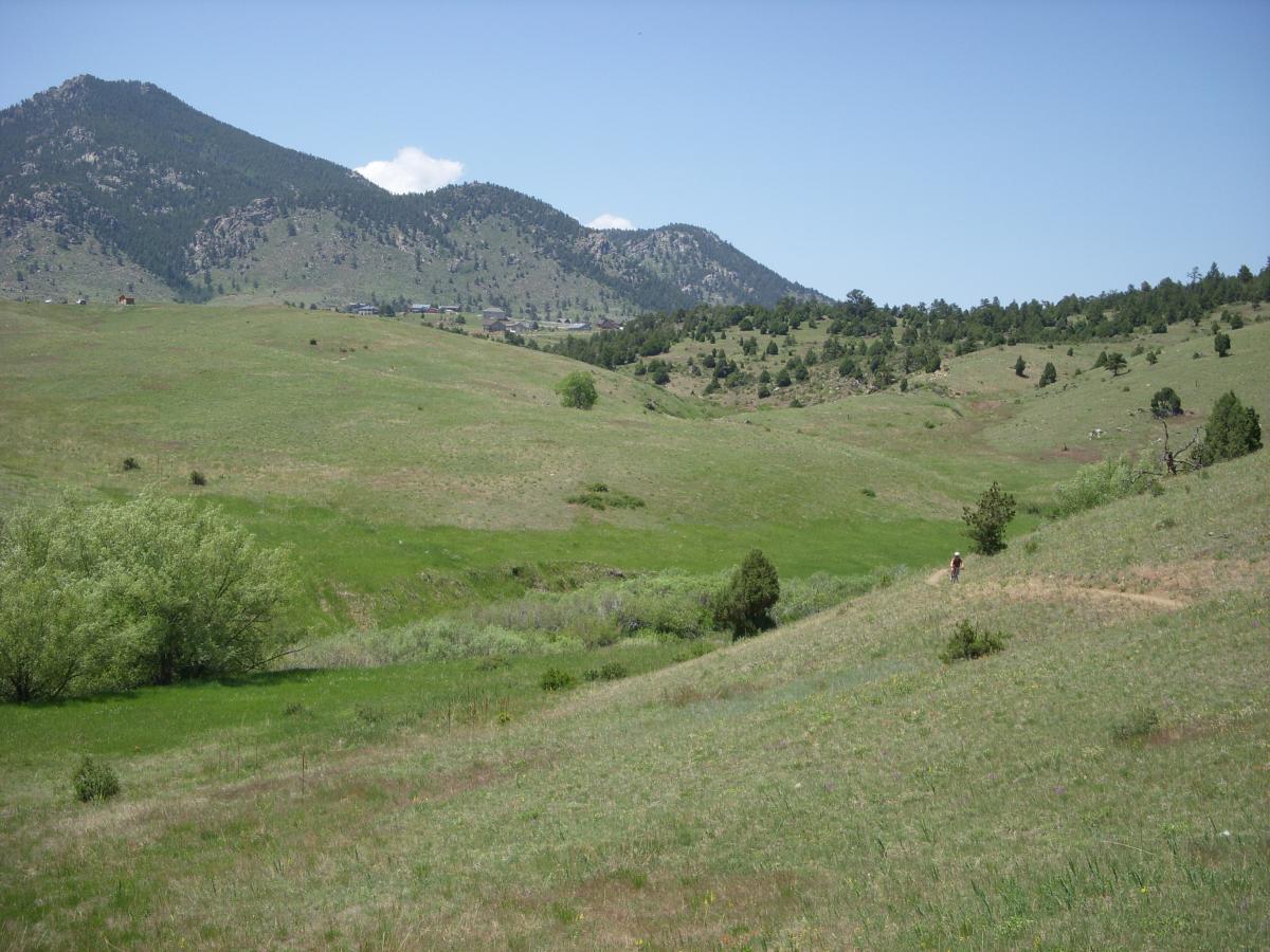 A scenic view of a grassy landscape featuring rolling hills and distant mountains under a clear blue sky. A person is seen walking on a path through the green terrain, surrounded by patches of trees and shrubs. The landscape is vibrant and lush, showcasing the beauty of nature. Centennial Cone Park mountain bike trail.
