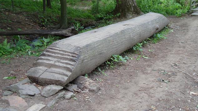 A large, carved wooden log sits on a dirt path in a green wooded area. The log features a series of steps carved into one end, surrounded by stones and vegetation. Middle Run Natural Area mountain bike trail.