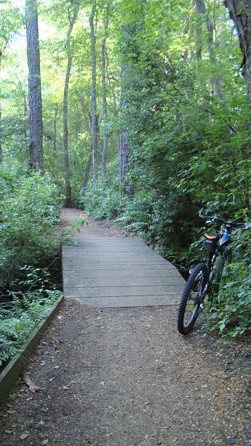 A narrow dirt path winding through a lush green forest, featuring tall trees and dense foliage. A wooden bridge crosses a small waterway, and a mountain bike leans against the bridge rail on the right side of the image. Parvin State Park mountain bike trail.