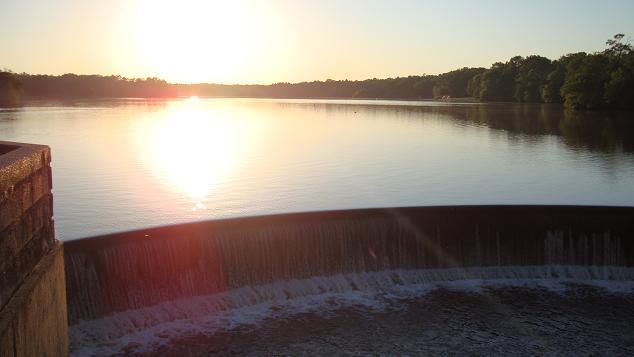 A serene early morning view of a lake at sunrise, with the sun reflecting on the calm water. In the foreground, the edge of a dam can be seen, with water cascading over it. Lush greenery borders the lake, creating a peaceful natural setting. Parvin State Park mountain bike trail.
