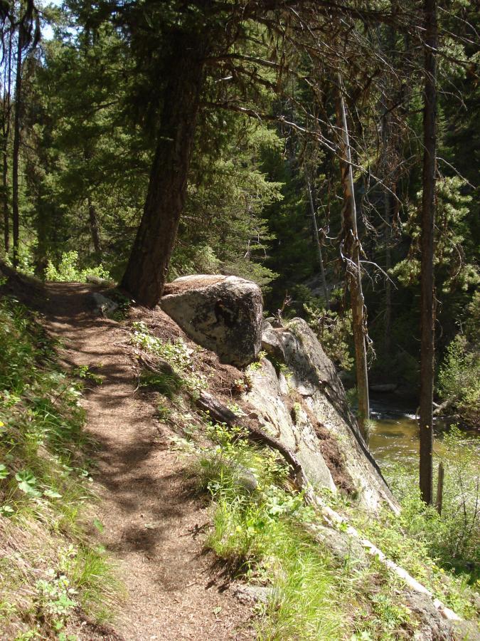 A narrow dirt path winding through lush greenery and tall trees, alongside large rocks and a flowing river. Sunlight filters through the leaves, creating a dappled light effect on the ground. Crooked River mountain bike trail.