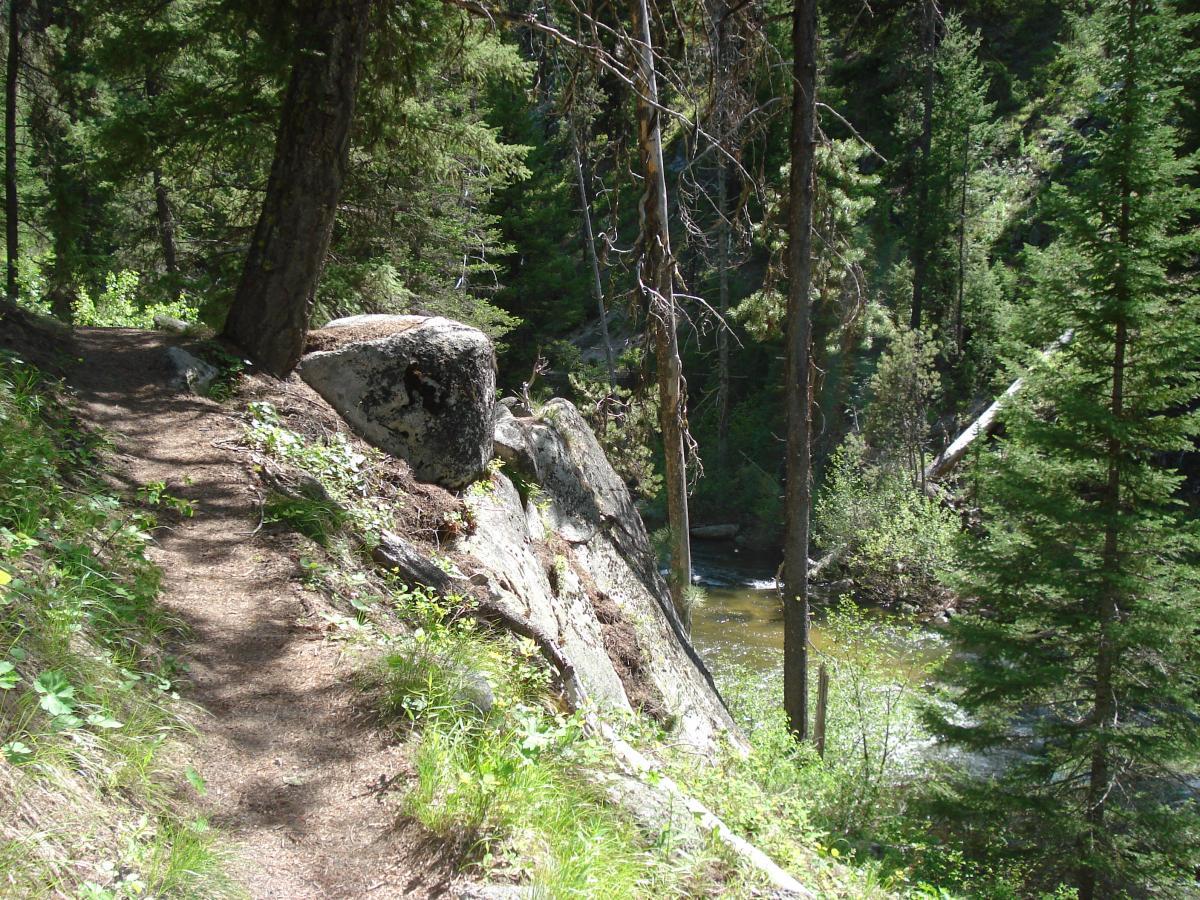 A peaceful forest trail winding alongside a river, surrounded by tall green trees and rugged rocks. Sunlight filters through the foliage, casting soft shadows on the path. Crooked River mountain bike trail.
