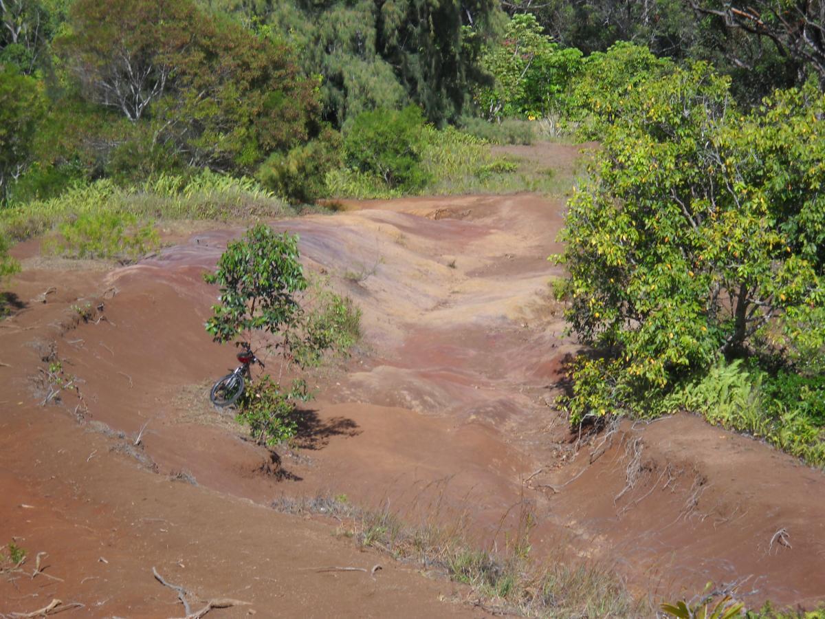 A landscape featuring a reddish-brown terrain with a small tree growing amidst the rocky surface. A bicycle rests at the base of the tree, surrounded by lush greenery and other plants in the background. The scene conveys a natural outdoor setting, possibly in a rural or mountainous area. Laie Falls Trail mountain bike trail.