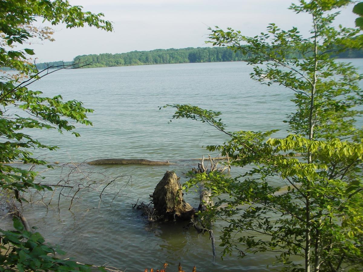A serene view of a calm lake surrounded by lush greenery. In the foreground, tree branches and foliage frame the scene, while a rocky formation and a fallen log are partially submerged in the water. The background features rolling hills covered with trees under a clear sky. West Branch mountain bike trail.