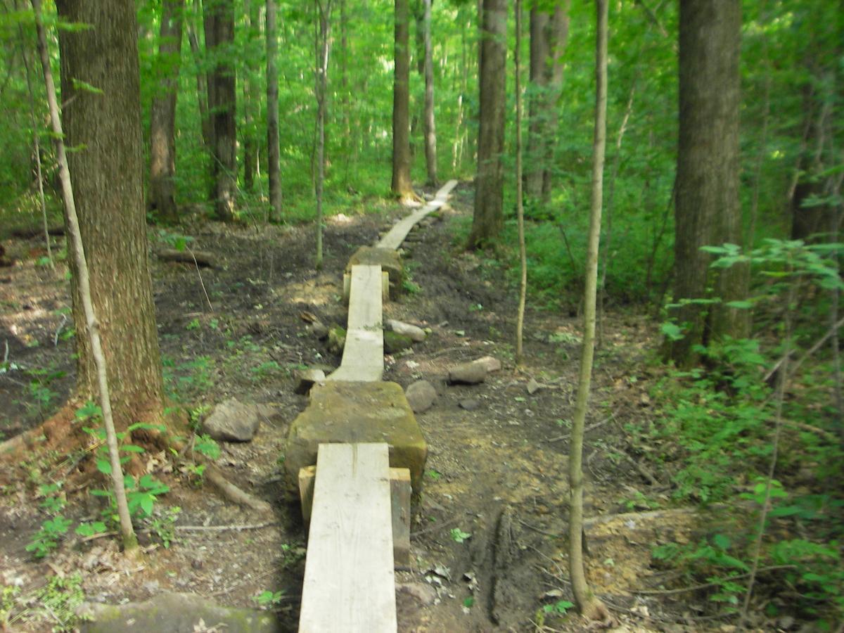 A narrow wooden pathway leading through a lush green forest, surrounded by tall trees and underbrush. The path consists of boards supported by stones, guiding the way over a slightly muddy area. Sunlight filters through the leaves, creating a serene natural setting. West Branch mountain bike trail.