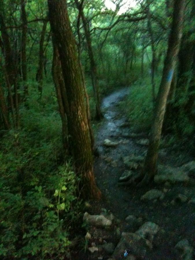 A serene woodland path winding through a dense forest, with tall trees on either side and a rocky terrain. The scene is lush with green foliage, creating a tranquil atmosphere in the fading light. Clinton State Park mountain bike trail.