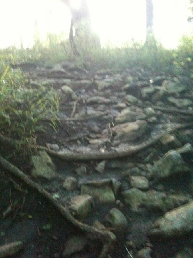 A rocky and uneven hiking path surrounded by green grass and trees. The ground is covered with large stones and exposed tree roots, leading upward through a natural landscape. Bright light filters in from above, creating a soft focus effect. Clinton State Park mountain bike trail.