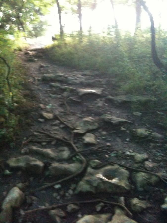 A rocky hiking path surrounded by greenery, with uneven stones and roots visible on the ground, leading through a wooded area. Soft light filters through the trees in the background. Clinton State Park mountain bike trail.
