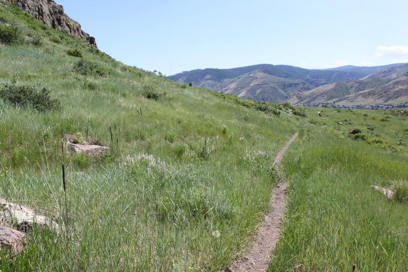 A winding dirt path runs through lush green grass on a hillside, with rocky terrain to one side and rolling mountains in the background under a clear blue sky. North Table Mountain mountain bike trail.