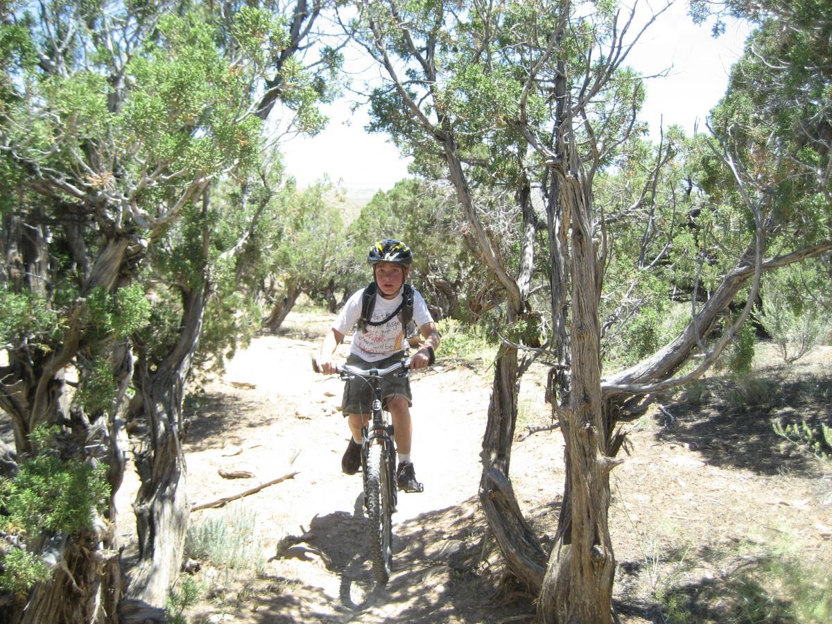 A young person riding a mountain bike on a narrow dirt trail surrounded by trees in a sunny outdoor setting. Zippety Do Dah mountain bike trail.