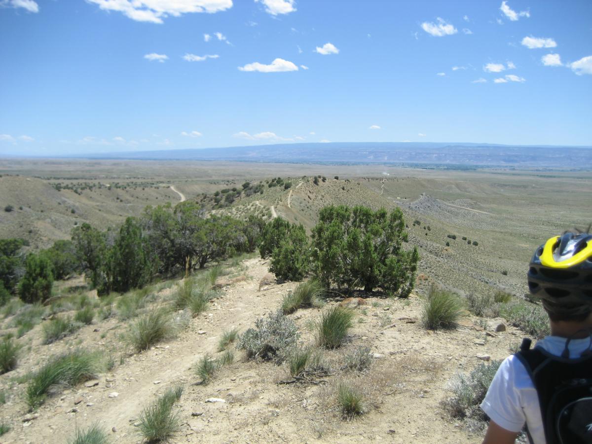 Person wearing a helmet stands on a hillside overlooking a vast, arid landscape with sparse vegetation and winding dirt trails under a bright blue sky with scattered clouds. Zippety Do Dah mountain bike trail.