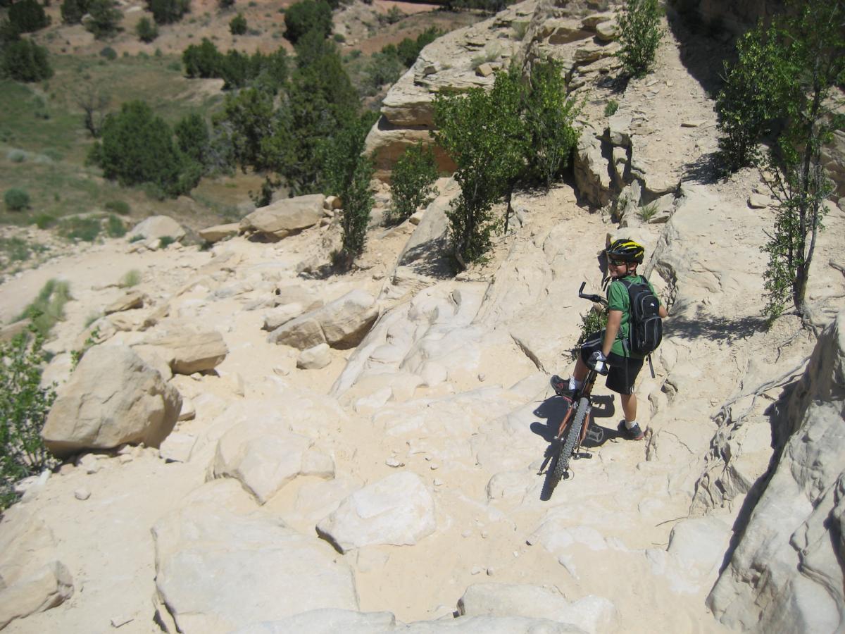 A person in a green shirt and black shorts stands next to a mountain bike on a rocky, sandy trail surrounded by shrubs and trees. The terrain appears steep and challenging, with large boulders and loose rocks. The scene is set in a natural outdoor environment, showcasing a sunny day. Mary's Loop / Horsethief Bench mountain bike trail.
