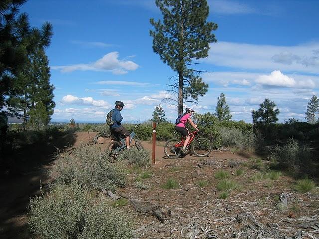Two mountain bikers riding on a dirt trail through a forested area. One rider, wearing a blue shirt and helmet, is cycling ahead while the other, in a pink top and helmet, follows closely behind. Surrounding them are pine trees and shrubs under a partly cloudy sky. Phil's Area mountain bike trail.
